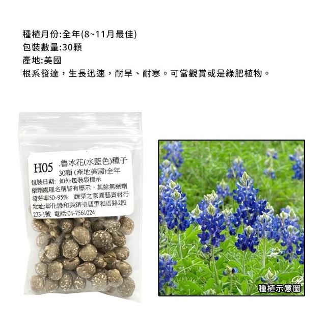 【蔬菜工坊】冬季可栽培花卉種子系列-各包裝數量詳見內文及圖片(魯冰花 波斯菊 蜀葵 金盞花)