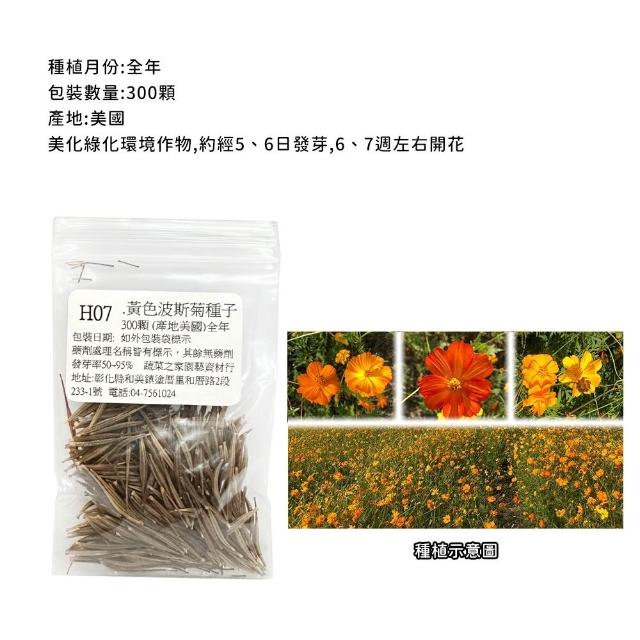 【蔬菜工坊】冬季可栽培花卉種子系列-各包裝數量詳見內文及圖片(魯冰花 波斯菊 蜀葵 金盞花)