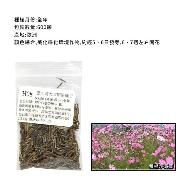 【蔬菜工坊】冬季可栽培花卉種子系列-各包裝數量詳見內文及圖片(魯冰花 波斯菊 蜀葵 金盞花)