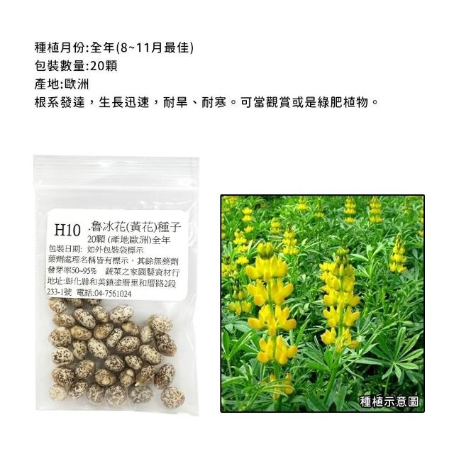 【蔬菜工坊】冬季可栽培花卉種子系列-各包裝數量詳見內文及圖片(魯冰花 波斯菊 蜀葵 金盞花)