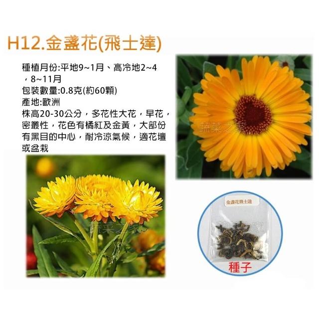 【蔬菜工坊】冬季可栽培花卉種子系列-各包裝數量詳見內文及圖片(魯冰花 波斯菊 蜀葵 金盞花)