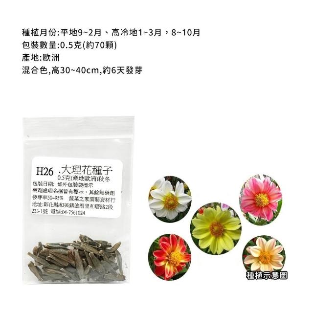【蔬菜工坊】冬季可栽培花卉種子系列-各包裝數量詳見內文及圖片(魯冰花 波斯菊 蜀葵 金盞花)