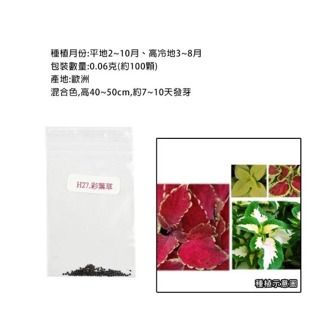 【蔬菜工坊】冬季可栽培花卉種子系列-各包裝數量詳見內文及圖片(魯冰花 波斯菊 蜀葵 金盞花)