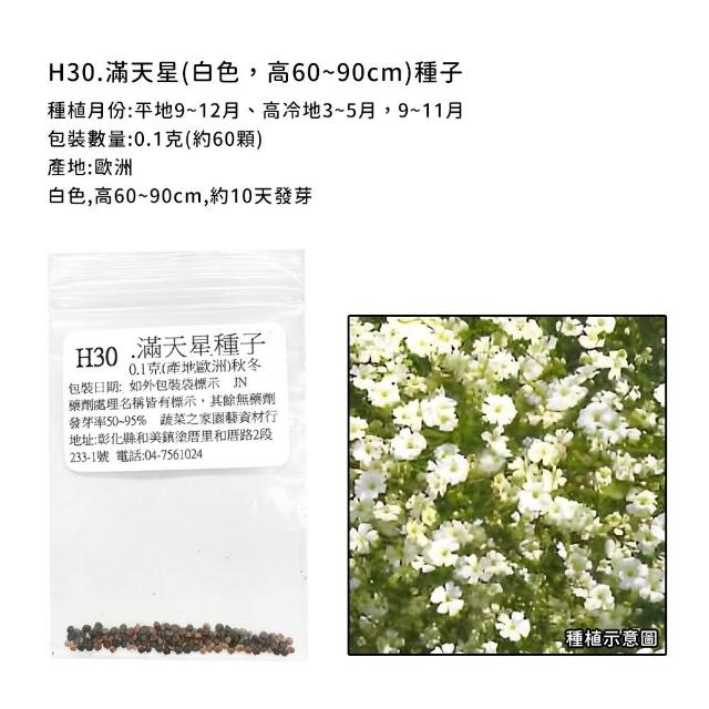 【蔬菜工坊】冬季可栽培花卉種子系列-各包裝數量詳見內文及圖片(魯冰花 波斯菊 蜀葵 金盞花)