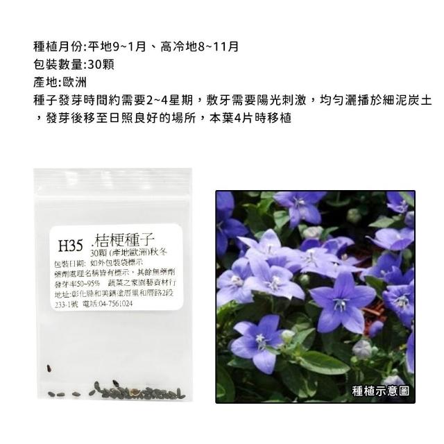 【蔬菜工坊】冬季可栽培花卉種子系列-各包裝數量詳見內文及圖片(魯冰花 波斯菊 蜀葵 金盞花)