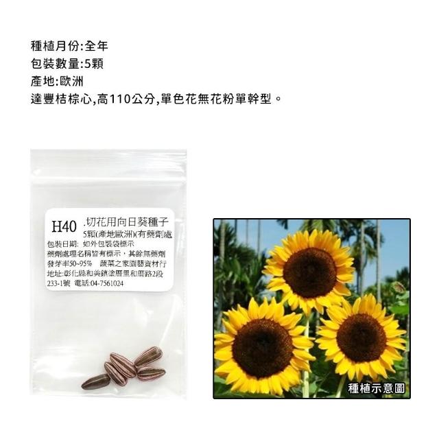 【蔬菜工坊】冬季可栽培花卉種子系列-各包裝數量詳見內文及圖片(魯冰花 波斯菊 蜀葵 金盞花)
