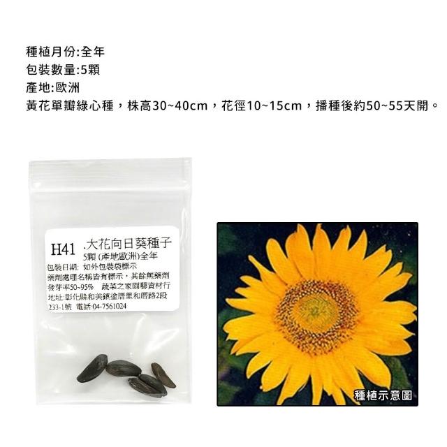 【蔬菜工坊】冬季可栽培花卉種子系列-各包裝數量詳見內文及圖片(魯冰花 波斯菊 蜀葵 金盞花)