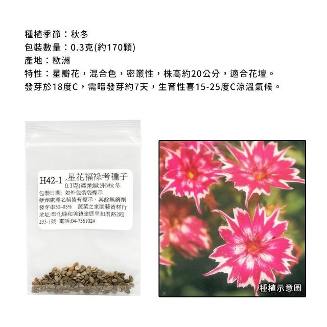 【蔬菜工坊】冬季可栽培花卉種子系列-各包裝數量詳見內文及圖片(魯冰花 波斯菊 蜀葵 金盞花)