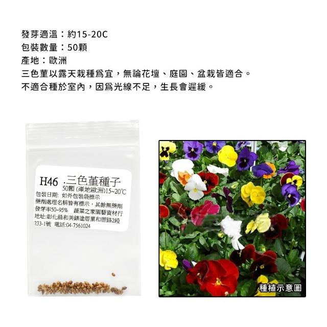 【蔬菜工坊】冬季可栽培花卉種子系列-各包裝數量詳見內文及圖片(魯冰花 波斯菊 蜀葵 金盞花)