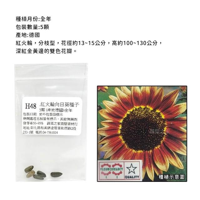 【蔬菜工坊】冬季可栽培花卉種子系列-各包裝數量詳見內文及圖片(魯冰花 波斯菊 蜀葵 金盞花)