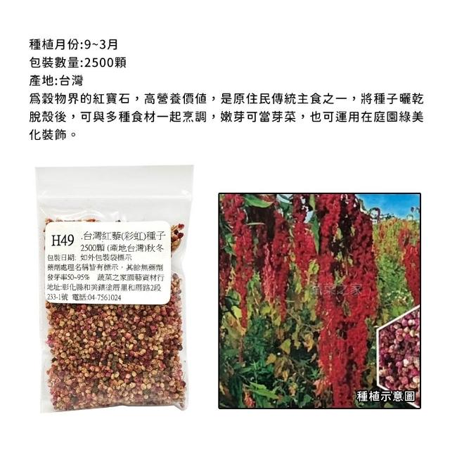 【蔬菜工坊】冬季可栽培花卉種子系列-各包裝數量詳見內文及圖片(魯冰花 波斯菊 蜀葵 金盞花)