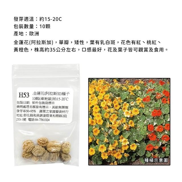 【蔬菜工坊】冬季可栽培花卉種子系列-各包裝數量詳見內文及圖片(魯冰花 波斯菊 蜀葵 金盞花)