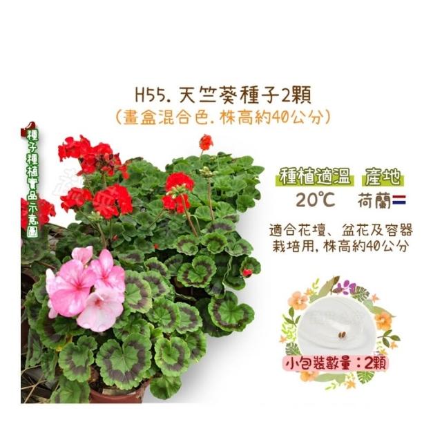 【蔬菜工坊】冬季可栽培花卉種子系列-各包裝數量詳見內文及圖片(魯冰花 波斯菊 蜀葵 金盞花)