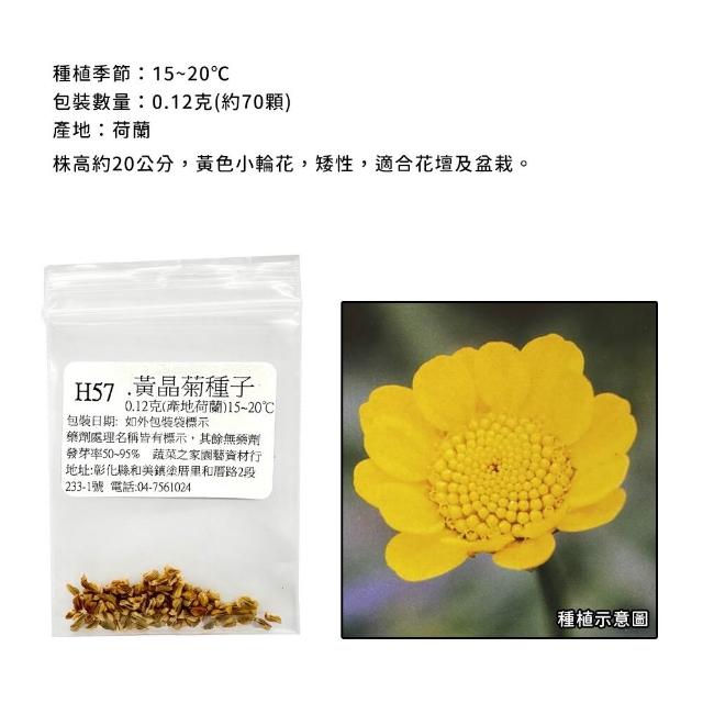 【蔬菜工坊】冬季可栽培花卉種子系列-各包裝數量詳見內文及圖片(魯冰花 波斯菊 蜀葵 金盞花)