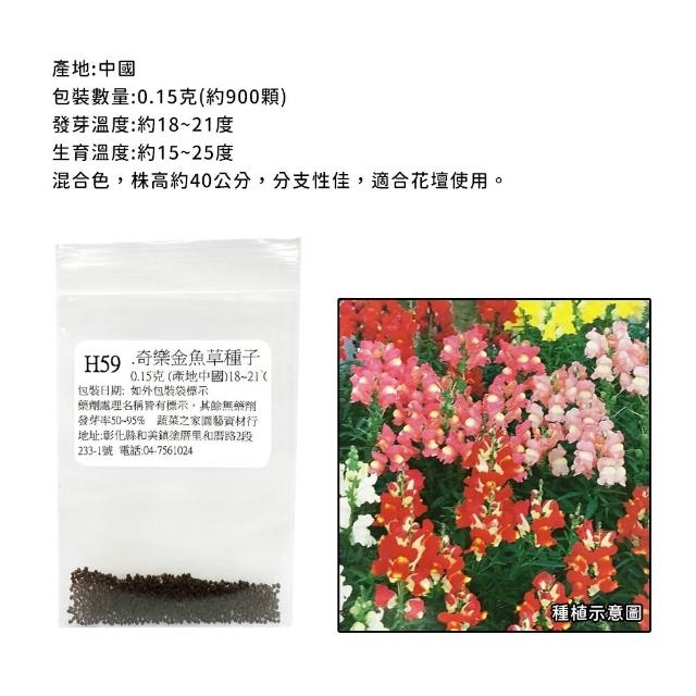 【蔬菜工坊】冬季可栽培花卉種子系列-各包裝數量詳見內文及圖片(魯冰花 波斯菊 蜀葵 金盞花)