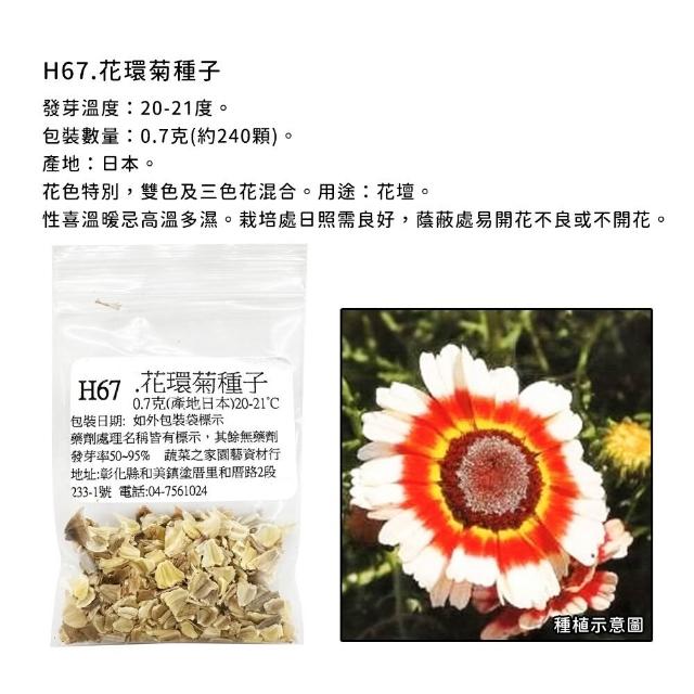 【蔬菜工坊】冬季可栽培花卉種子系列-各包裝數量詳見內文及圖片(魯冰花 波斯菊 蜀葵 金盞花)