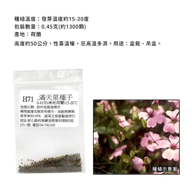 【蔬菜工坊】冬季可栽培花卉種子系列-各包裝數量詳見內文及圖片(魯冰花 波斯菊 蜀葵 金盞花)
