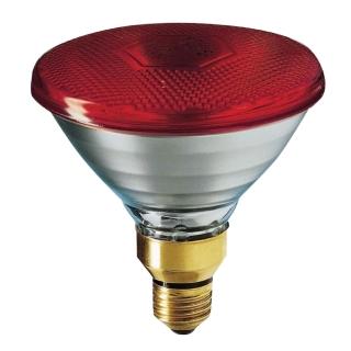 【Philips 飛利浦】12入/箱 PAR38E 150W 120V E27 人體專用 紅外線燈泡 溫熱燈泡 保溫燈泡(中醫科用燈泡)