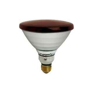 【Philips 飛利浦】2入組 PAR38E 150W E27 紅外線燈泡 溫熱燈泡 加熱燈泡 熱敷 保溫 歐洲製