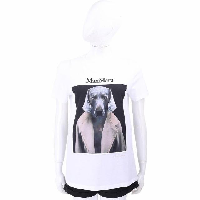 【MaxMara】CIPRIA 威瑪臘犬TEE T恤-3色可選(CIPRIA威瑪臘犬T 上衣 短袖 棉T 狗狗)