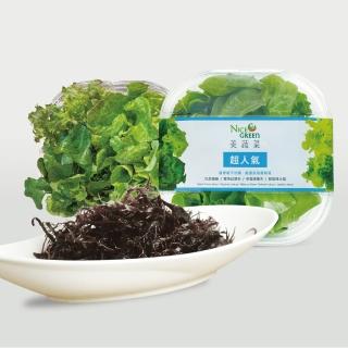 【NICE GREEn 美蔬菜】美蔬菜盒3入+海藻3包送3包沙拉醬(生菜 沙拉 蔬菜 萵苣 海藻)