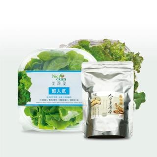 【NICE GREEn 美蔬菜】美蔬菜3入+人參黃耆茶1包(生菜 沙拉 萵苣 人參 黃耆茶)