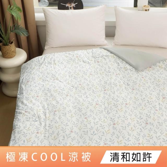 【DeKo】SUPER COOL極凍cool涼被 抑菌可水洗涼感紗刨冰被(百貨專櫃等級/涼夏被/冰冰被/冰凍被)