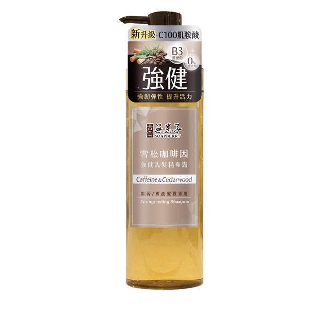 【古寶無患子】成分升級新上市-無矽靈洗髮精露530g
