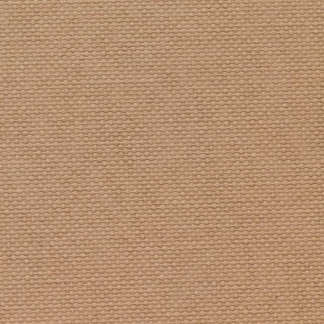 【maison choupette】貓野仙蹤 紙盒貓窩抓板可替換_森林系列_不易掉屑貓抓板