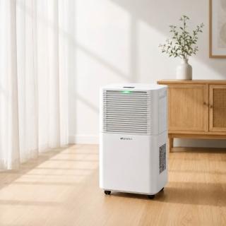 【SANSUI 山水】現貨速出 6L極智淨智控感應負離子除濕機 除溼 一級能效 節能省電 靜音 負離子SDL-PURE66