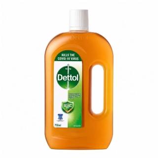 【Dettol 滴露】消毒藥水 750mlx2入(居家清潔/醫療/強效殺菌/除蟲/家居消毒/衣物除菌/滴露消毒水)
