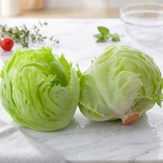 新鮮牧場 新鮮進口頂級美生菜*3顆 (300g-600g±10%/顆)