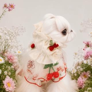 【Zoobulous 玩玩動物園】寵物耳套Snood｜花園精靈春日甜櫻 (寵物耳套/長毛貓狗共用/寵物配件)